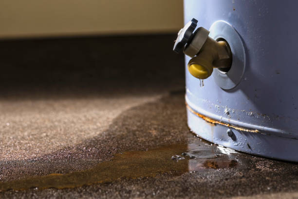 Trusted Wrens, GA Water damage restoration Experts