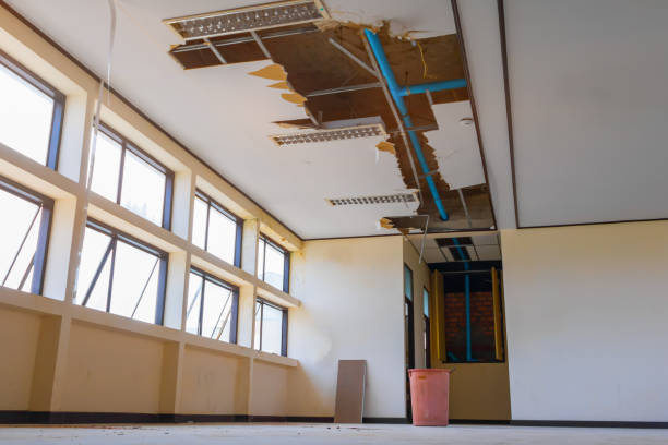 Best 24-hour water damage restoration  in Wrens, GA