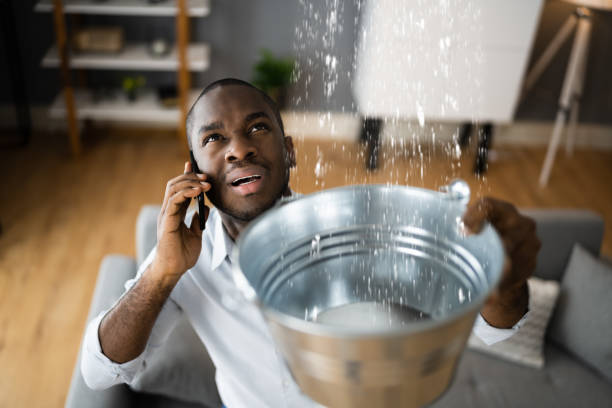 Best Water damage restoration near me  in Wrens, GA