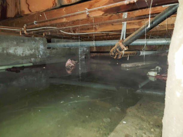 Best Residential water damage restoration  in Wrens, GA