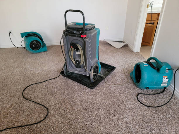Best Carpet water damage restoration  in Wrens, GA