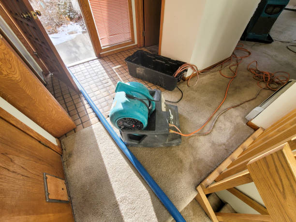 Best Mold removal after water damage  in Wrens, GA