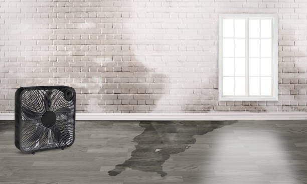 Best Sewage cleanup and water damage restoration  in Wrens, GA