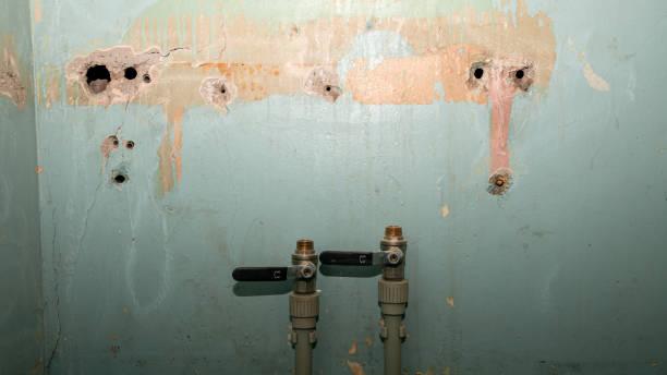 Best Mold removal after water damage  in Wrens, GA
