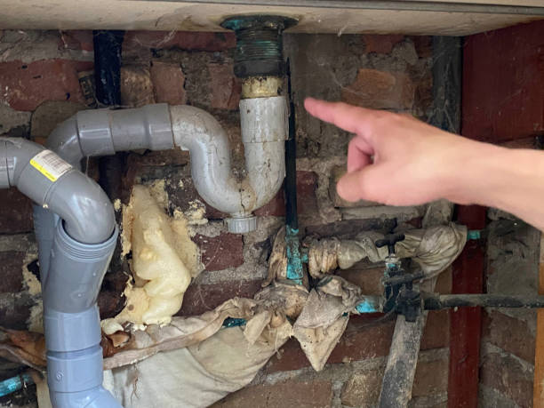 Best Water damage cleanup near me  in Wrens, GA