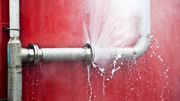 Best Professional water damage repair  in Wrens, GA