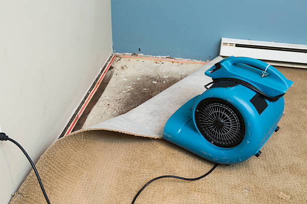 Best Water damage cleanup near me  in Wrens, GA